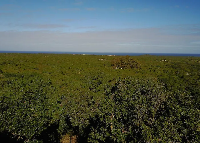 Treetop Guesthouse
