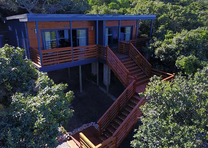 Treetop Guesthouse