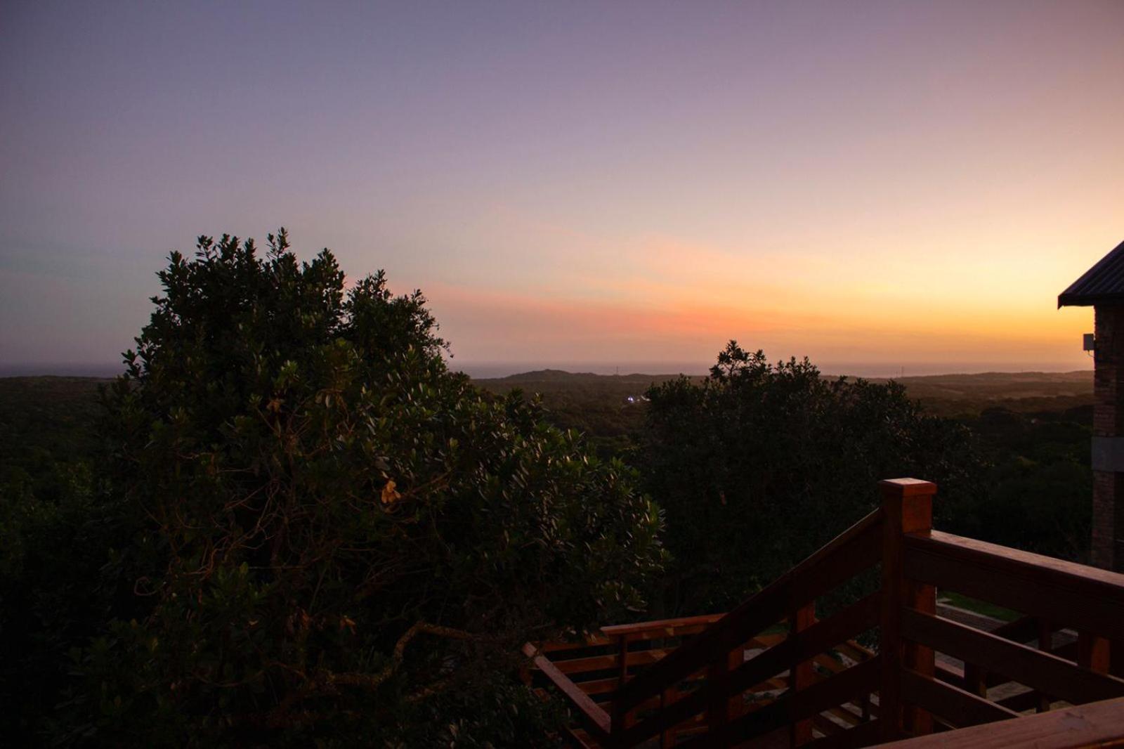 Treetop Port Elizabeth
