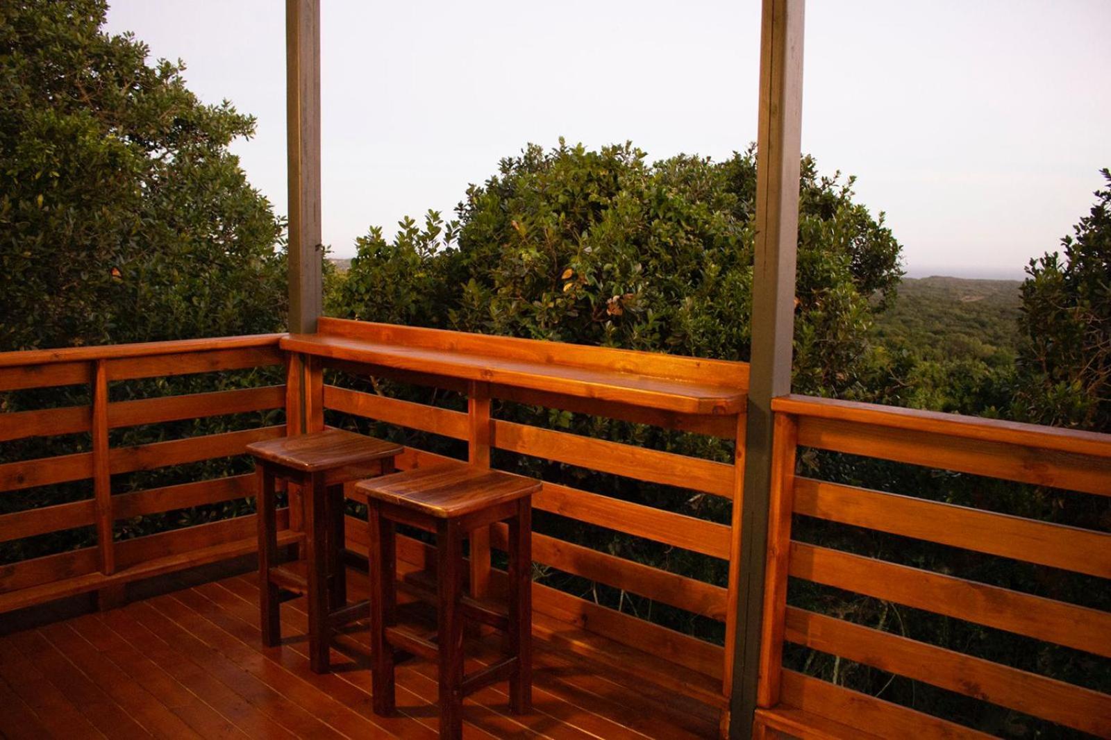 Treetop Port Elizabeth