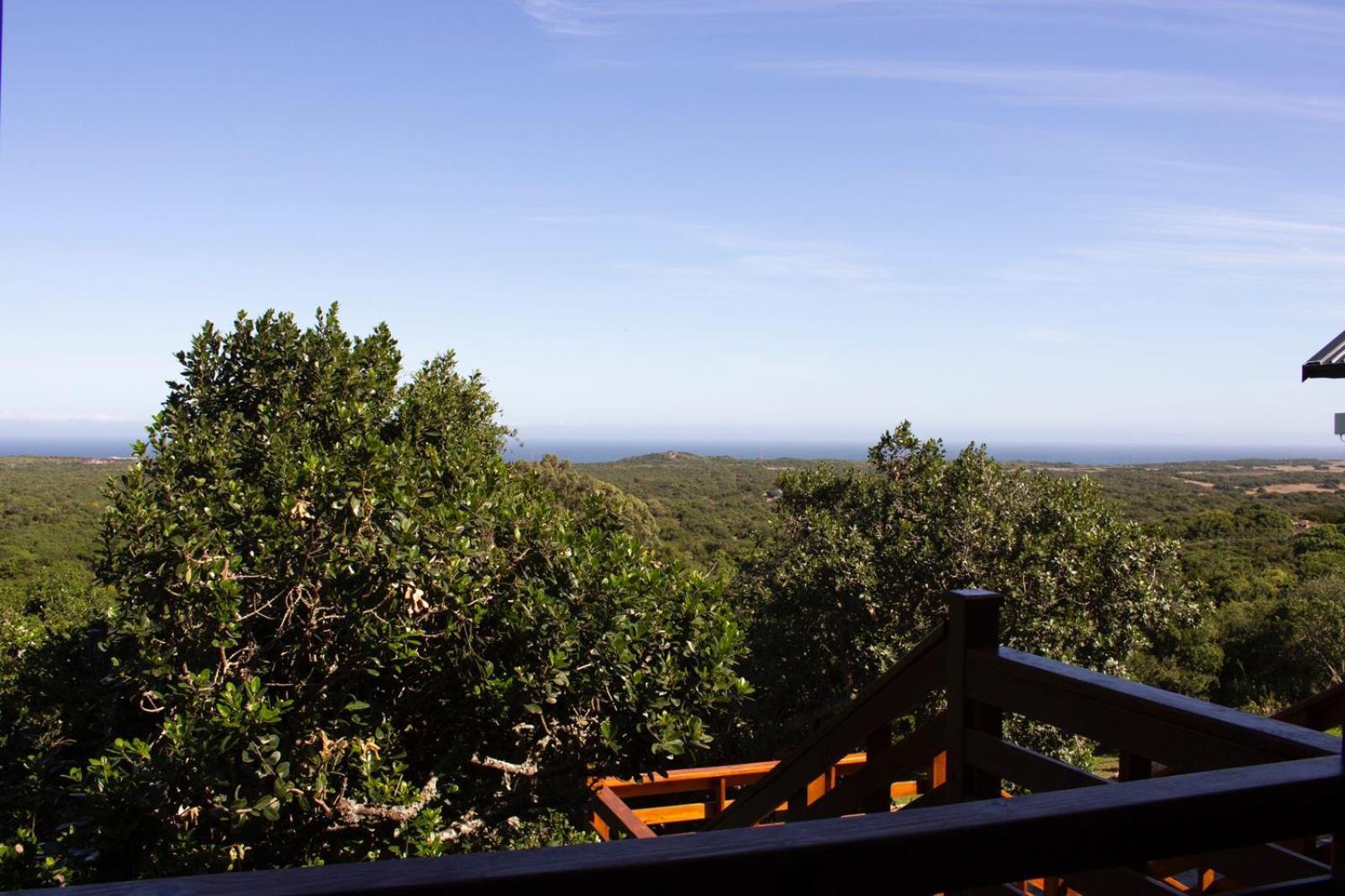 Treetop