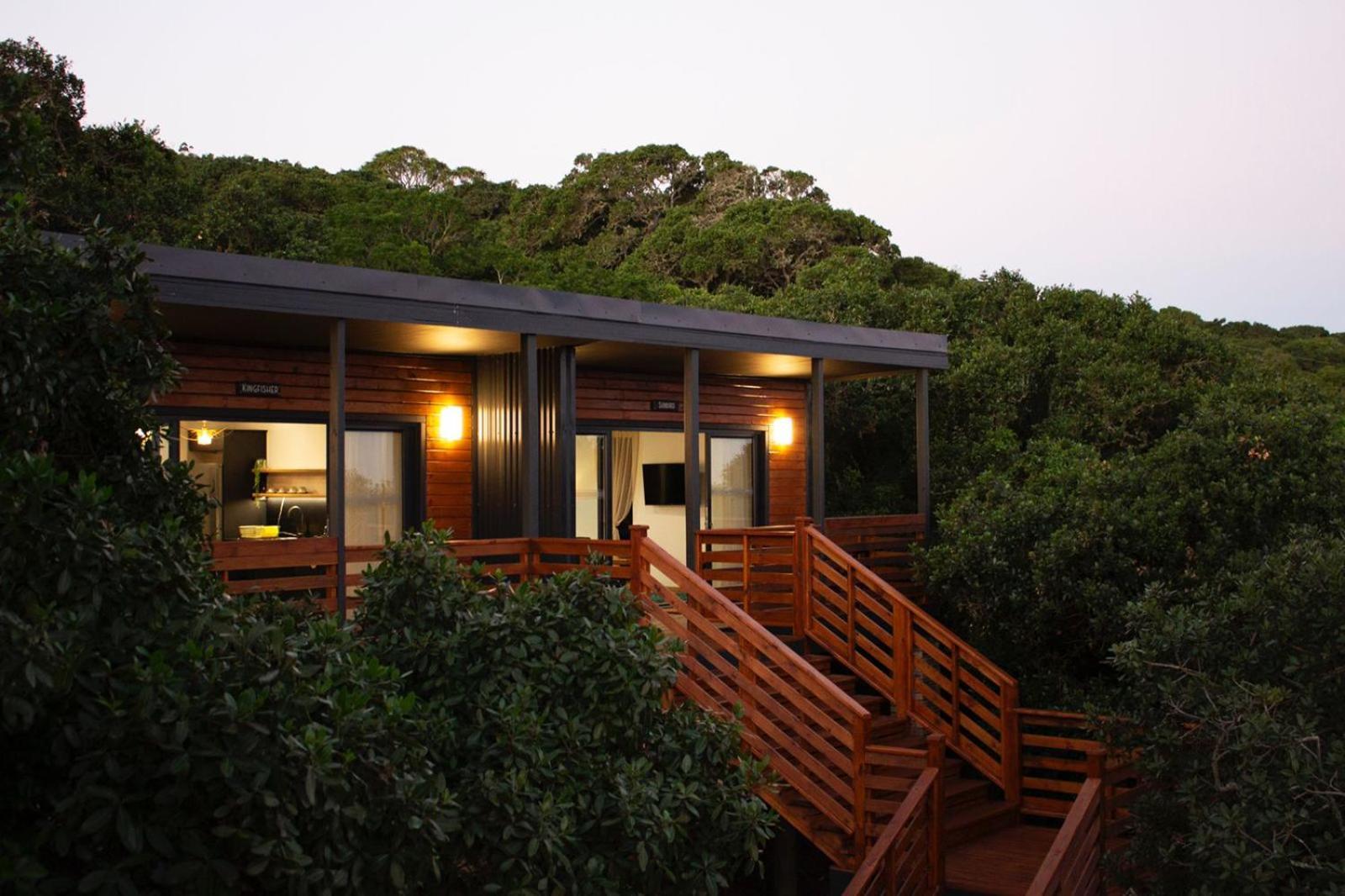 Treetop
