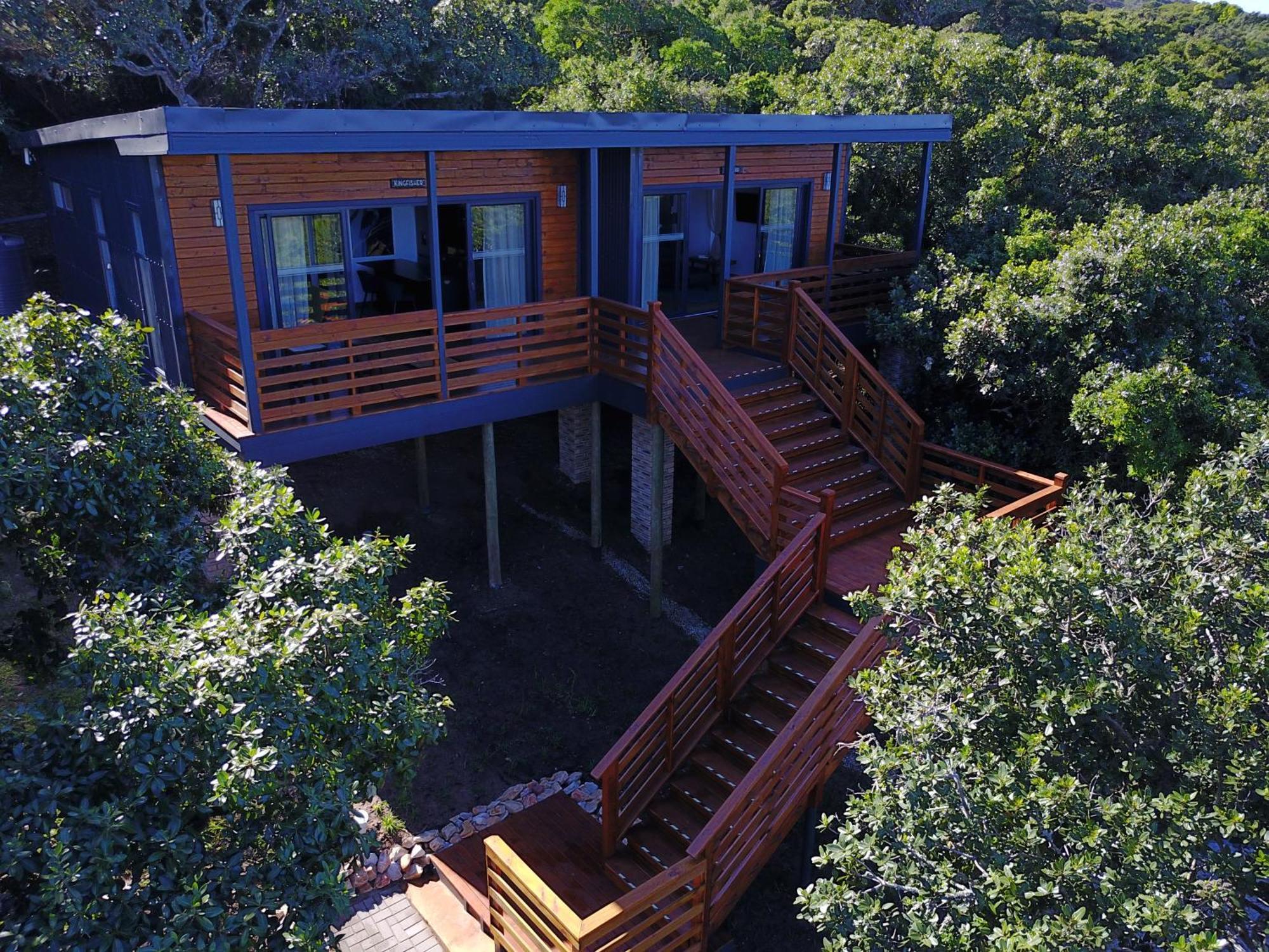 Treetop * Port Elizabeth