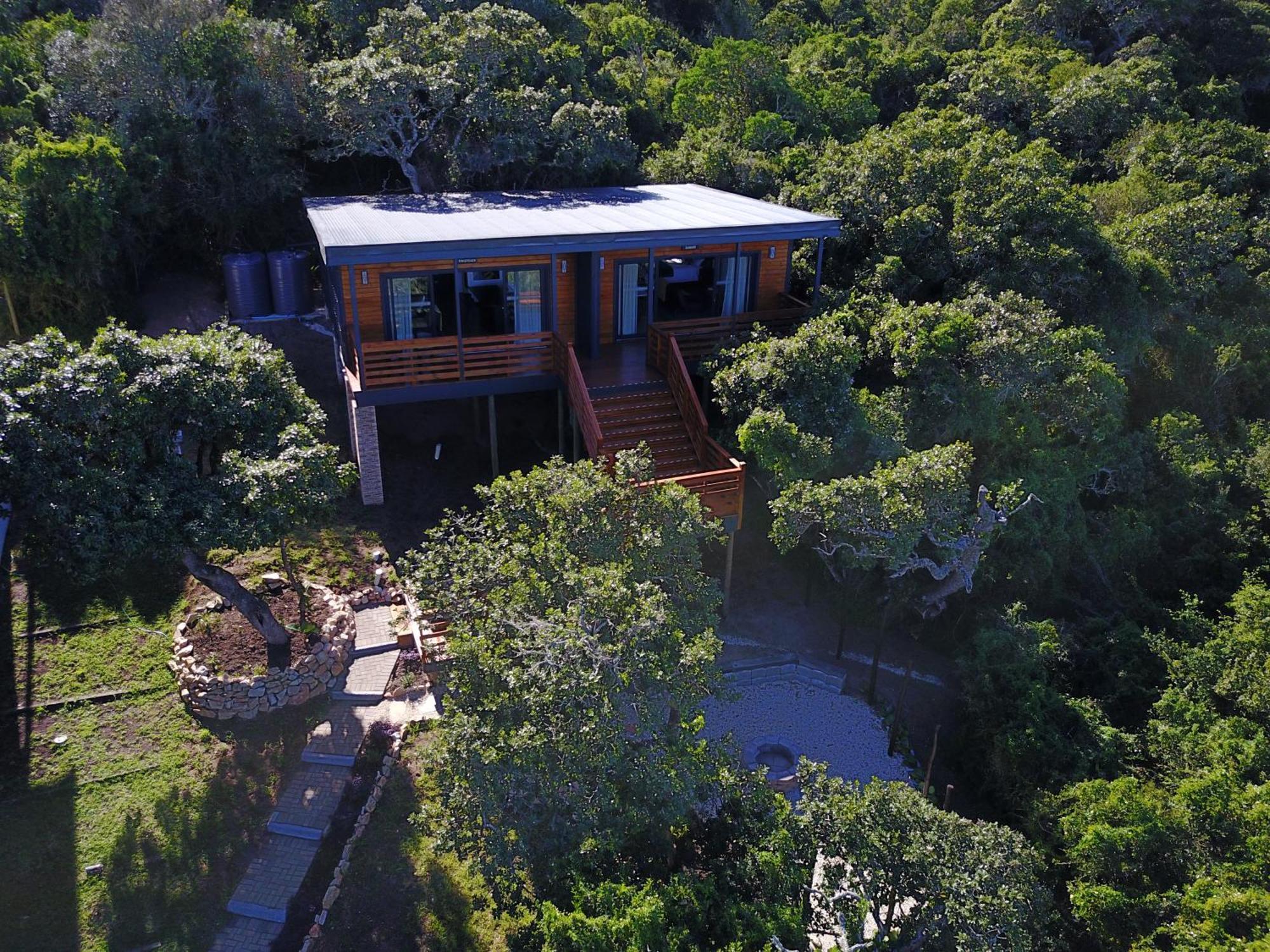 Treetop *