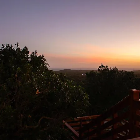Treetop Guesthouse Port Elizabeth Exterior photo