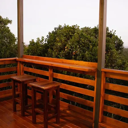 Treetop Guesthouse Port Elizabeth Exterior photo